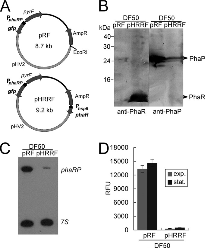 FIG 2