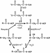 FIG. 3.