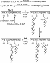 FIG. 7.