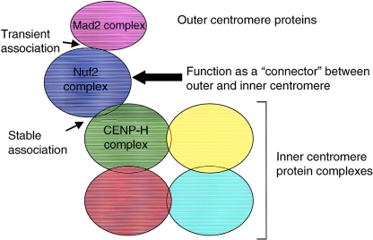 FIG. 8.