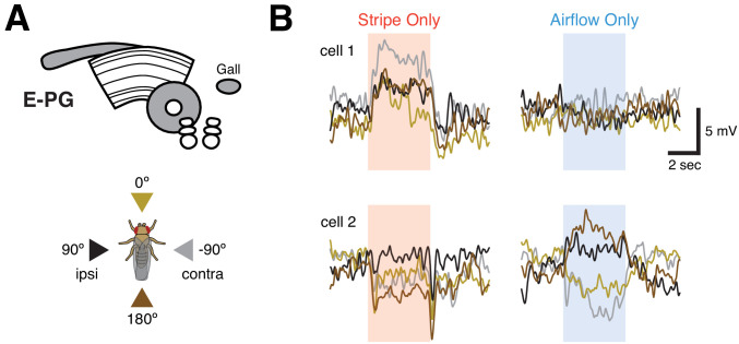 Figure 1—figure supplement 3.