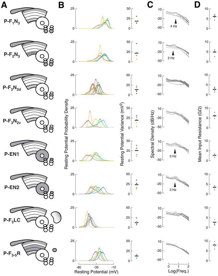 Figure 1—figure supplement 1.