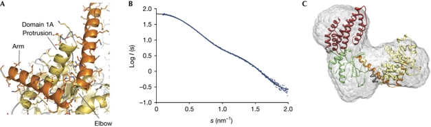 Figure 2