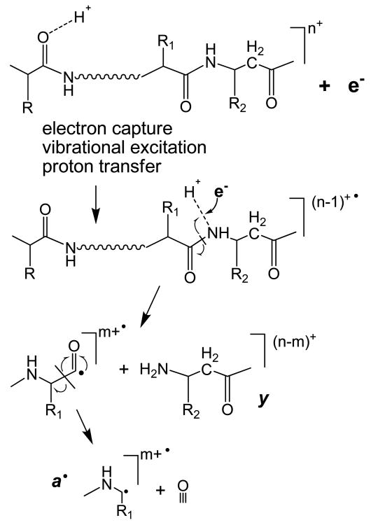 Scheme 4