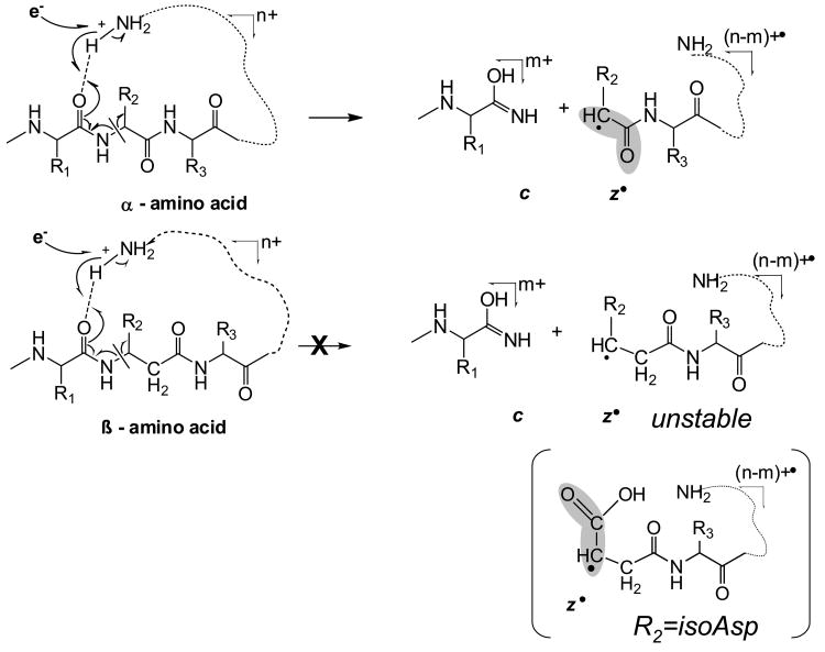 Scheme 3