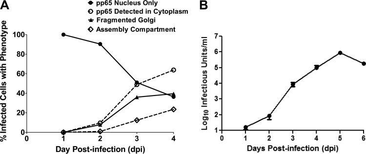 FIG 3 