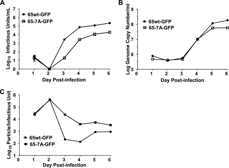 FIG 10 