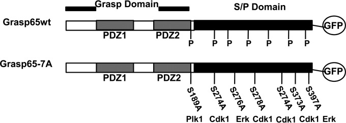 FIG 6 