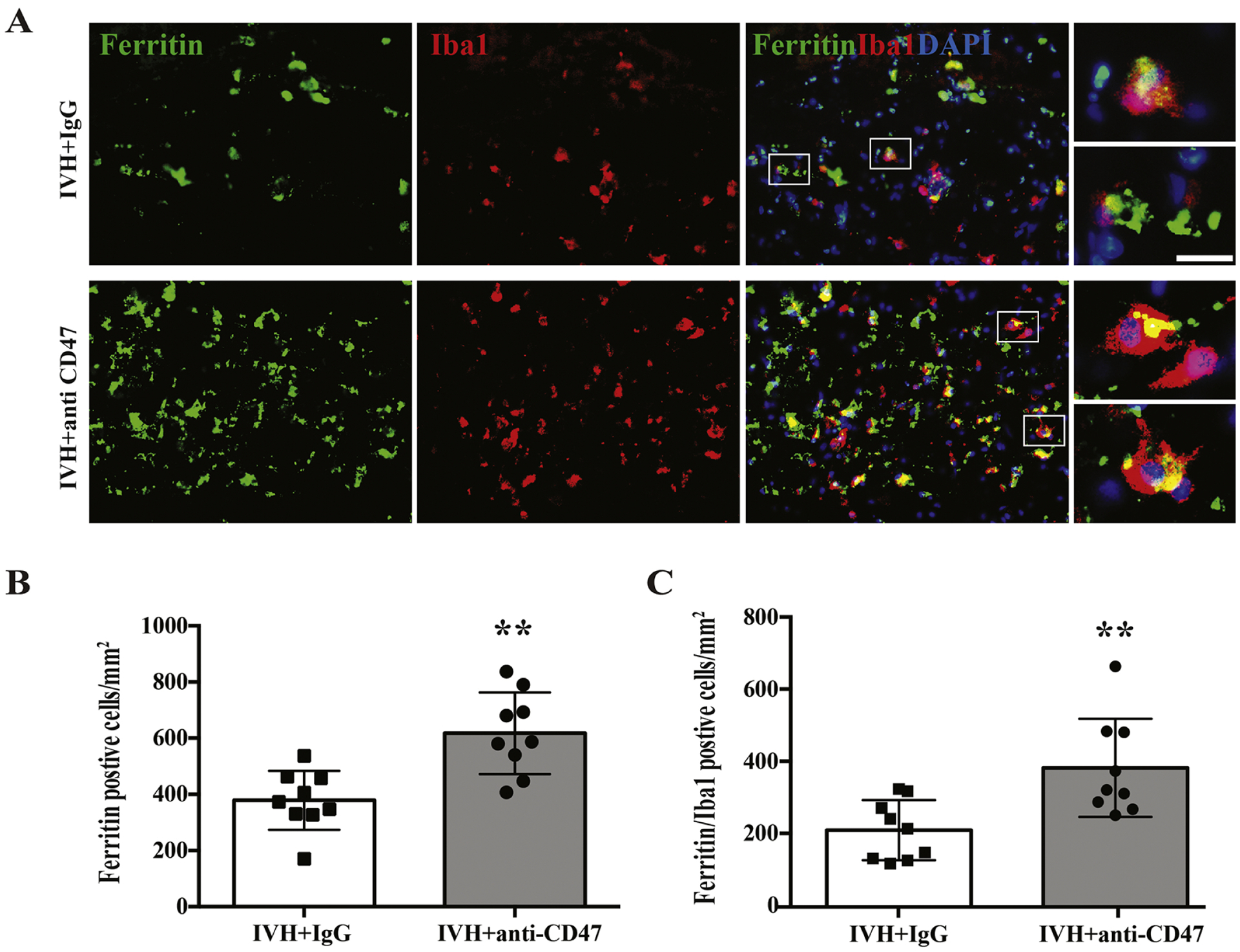 Figure 6.