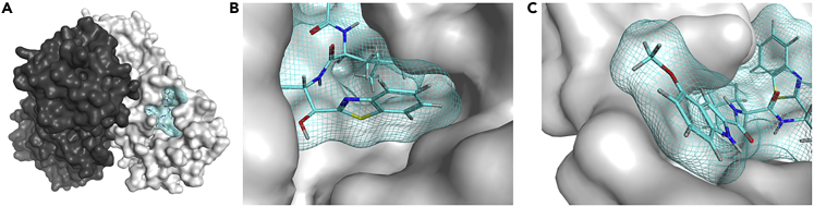 Figure 5