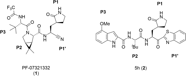 Figure 1