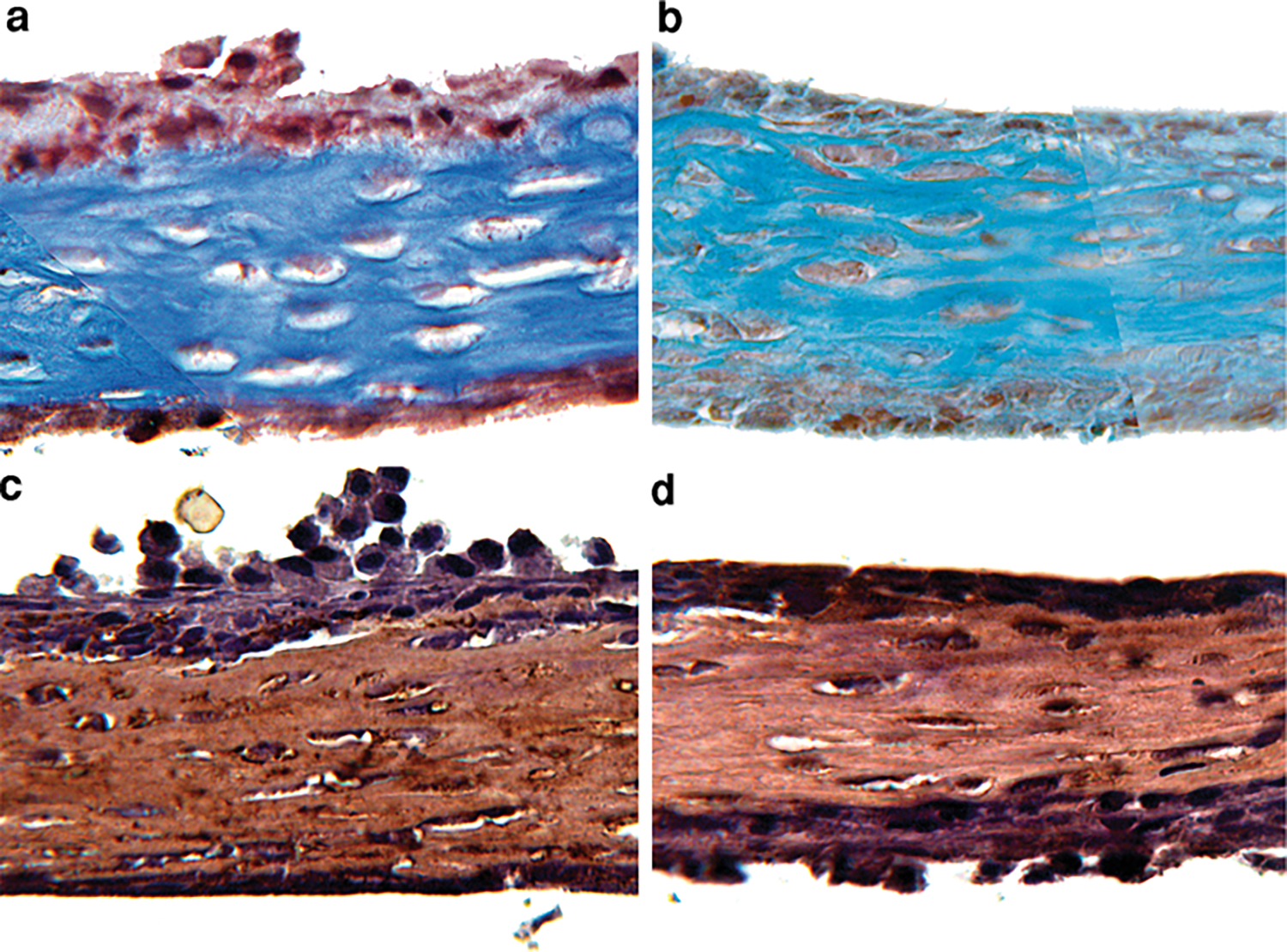 Fig. 5