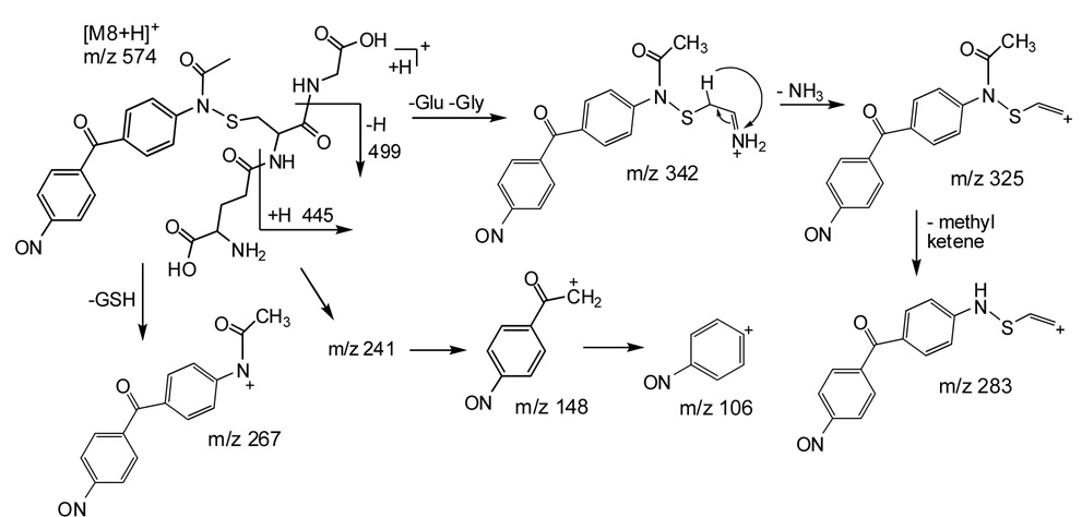 Scheme 3