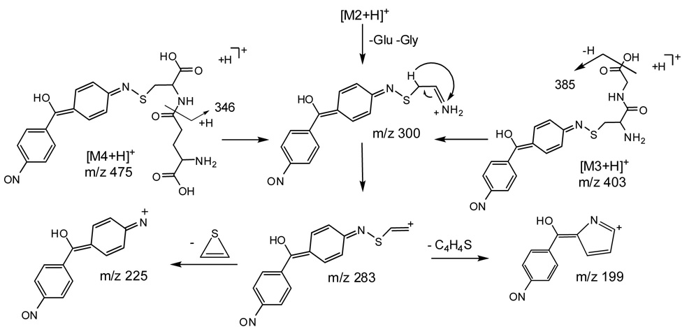 Scheme 2