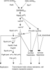 FIG. 2.