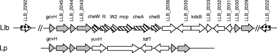 FIG. 6.