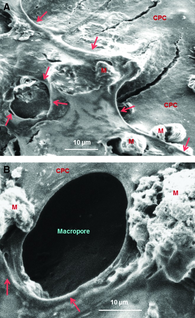 FIG. 5.