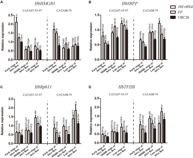 FIGURE 4