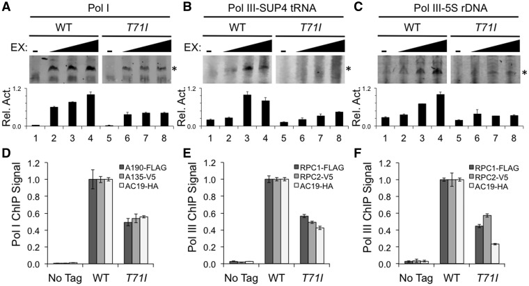 Figure 6.