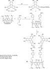 Scheme 35