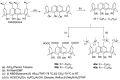 Scheme 20