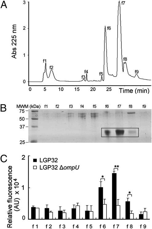 Fig. 5.