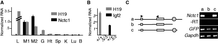 Figure 3.