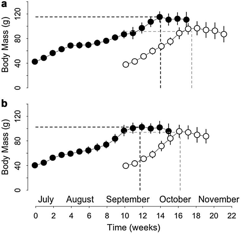 Fig. 4