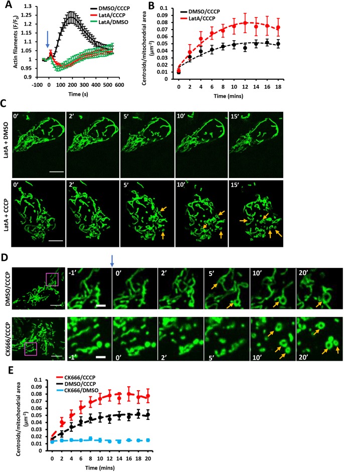 Fig. 4.