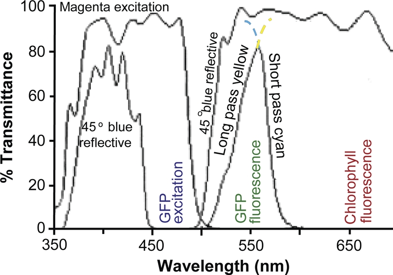 Fig. 4