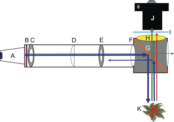 Fig. 1