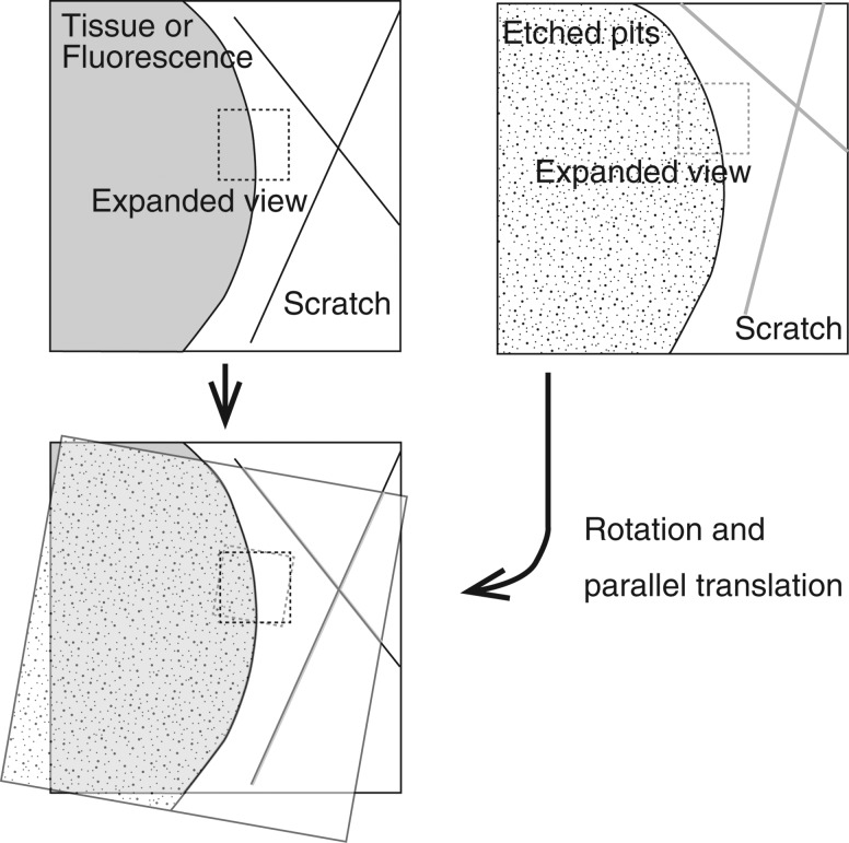 Fig. 3.