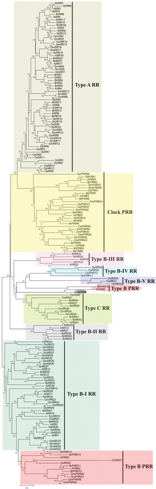 Figure 3.