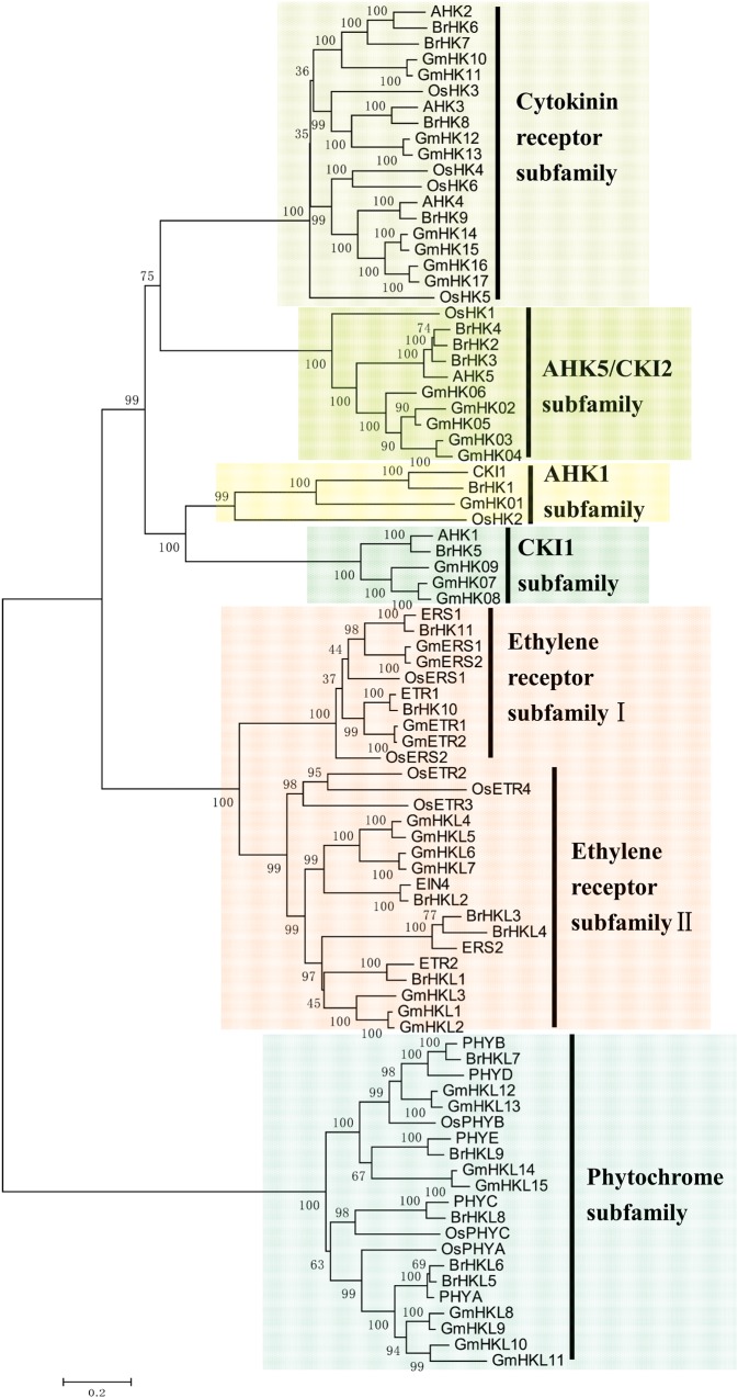 Figure 1.