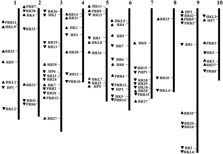 Figure 4.