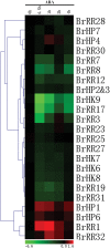 Figure 9.