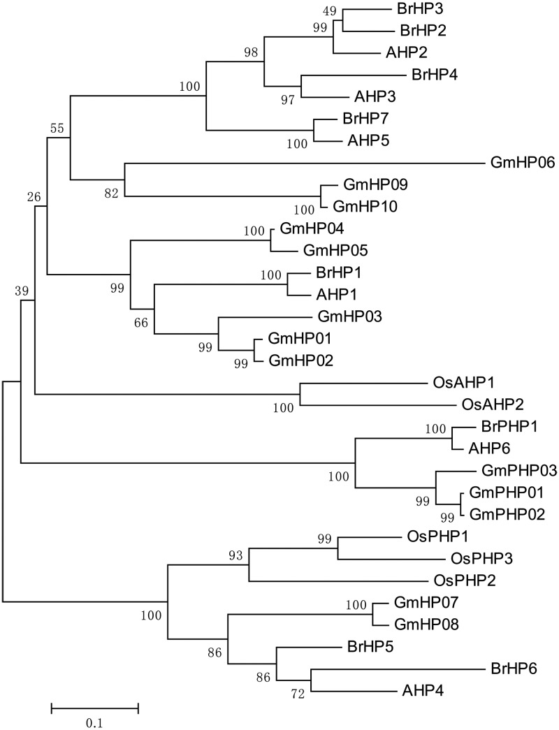 Figure 2.