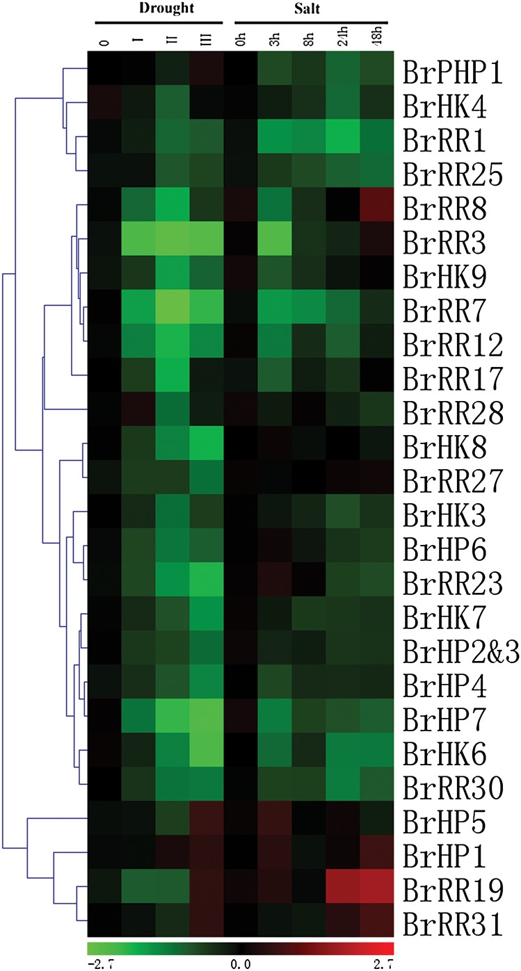 Figure 7.