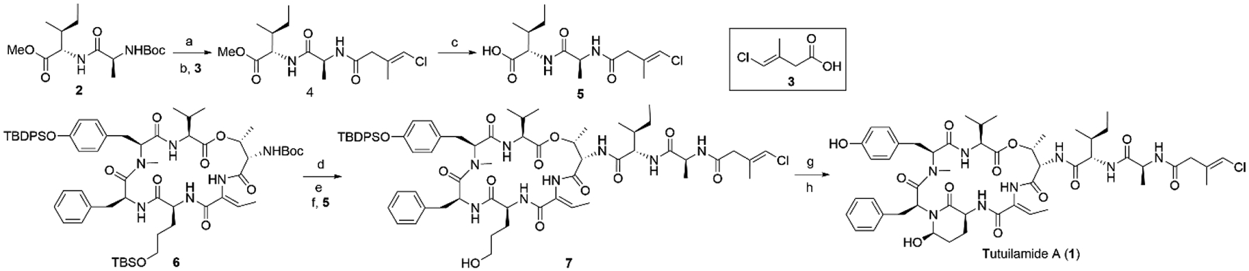 Scheme 1.