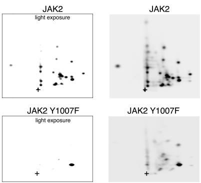 FIG. 9.