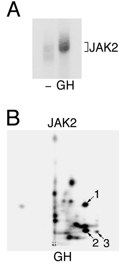 FIG. 6.