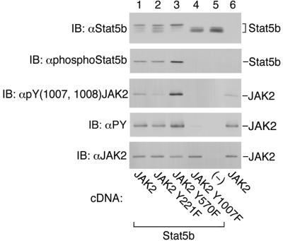 FIG. 10.