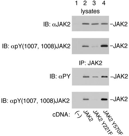 FIG. 8.