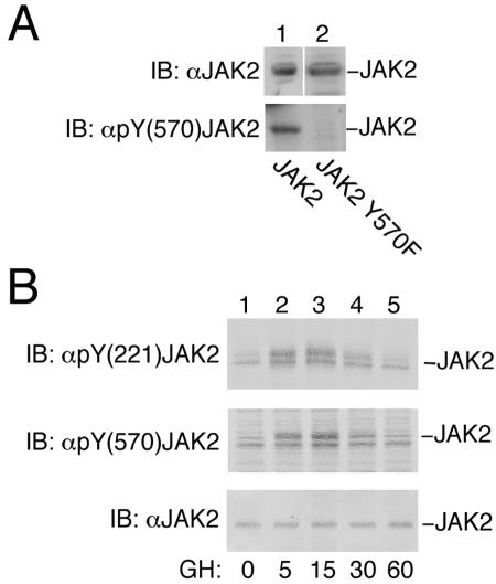 FIG. 7.