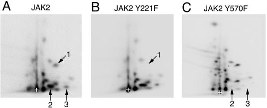 FIG. 5.