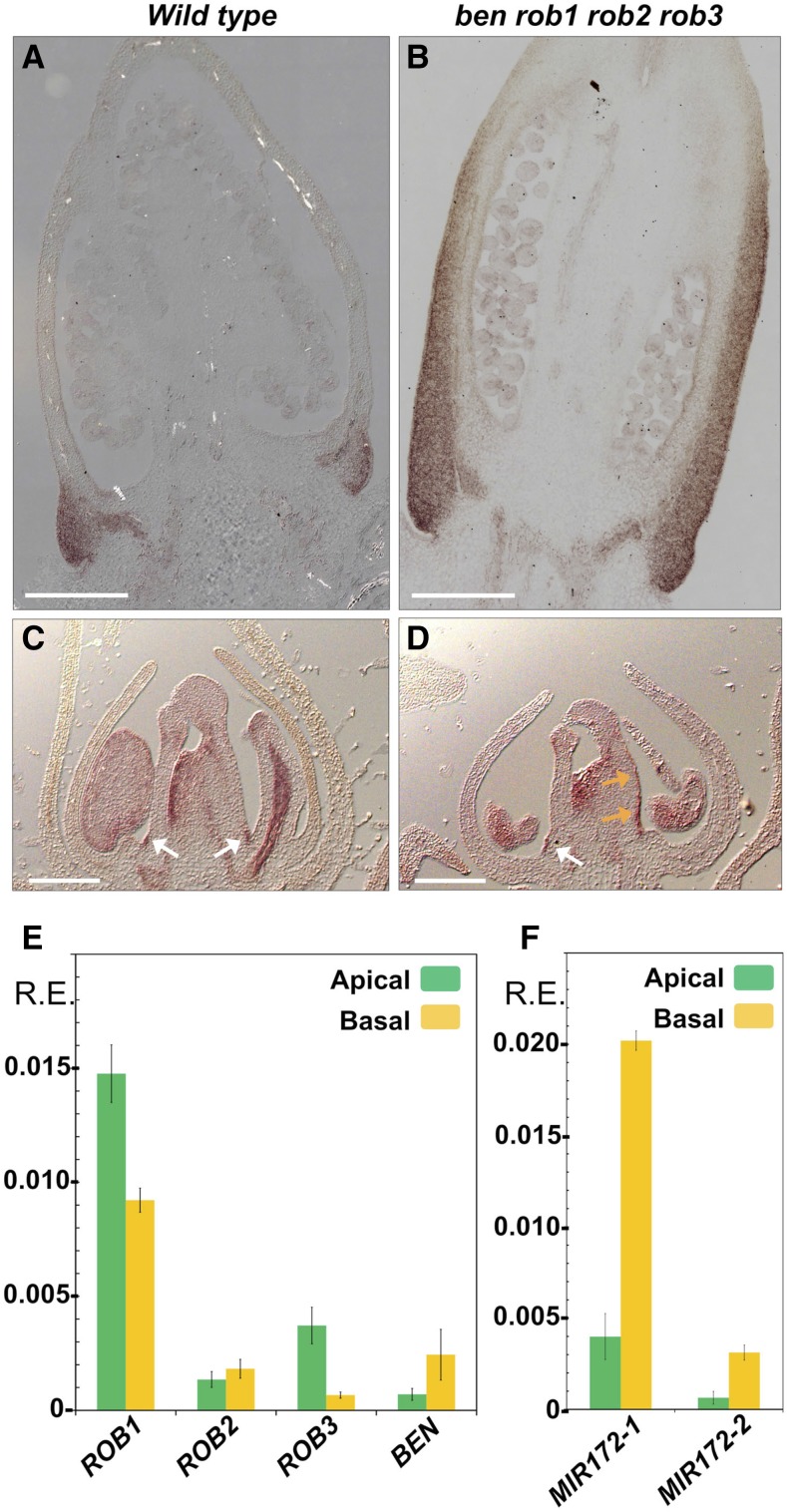 Figure 5.