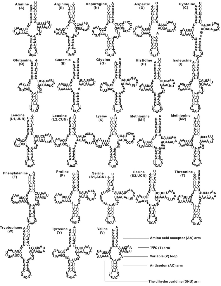 Figure 5.