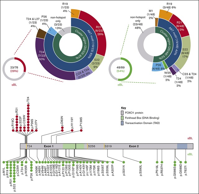 graphic file with name advances029546absf1.jpg