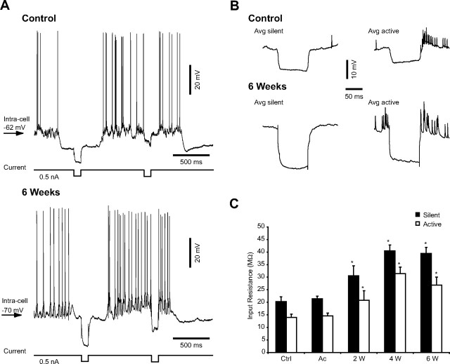 Figure 6.