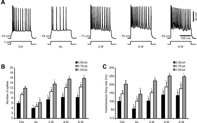 Figure 7.